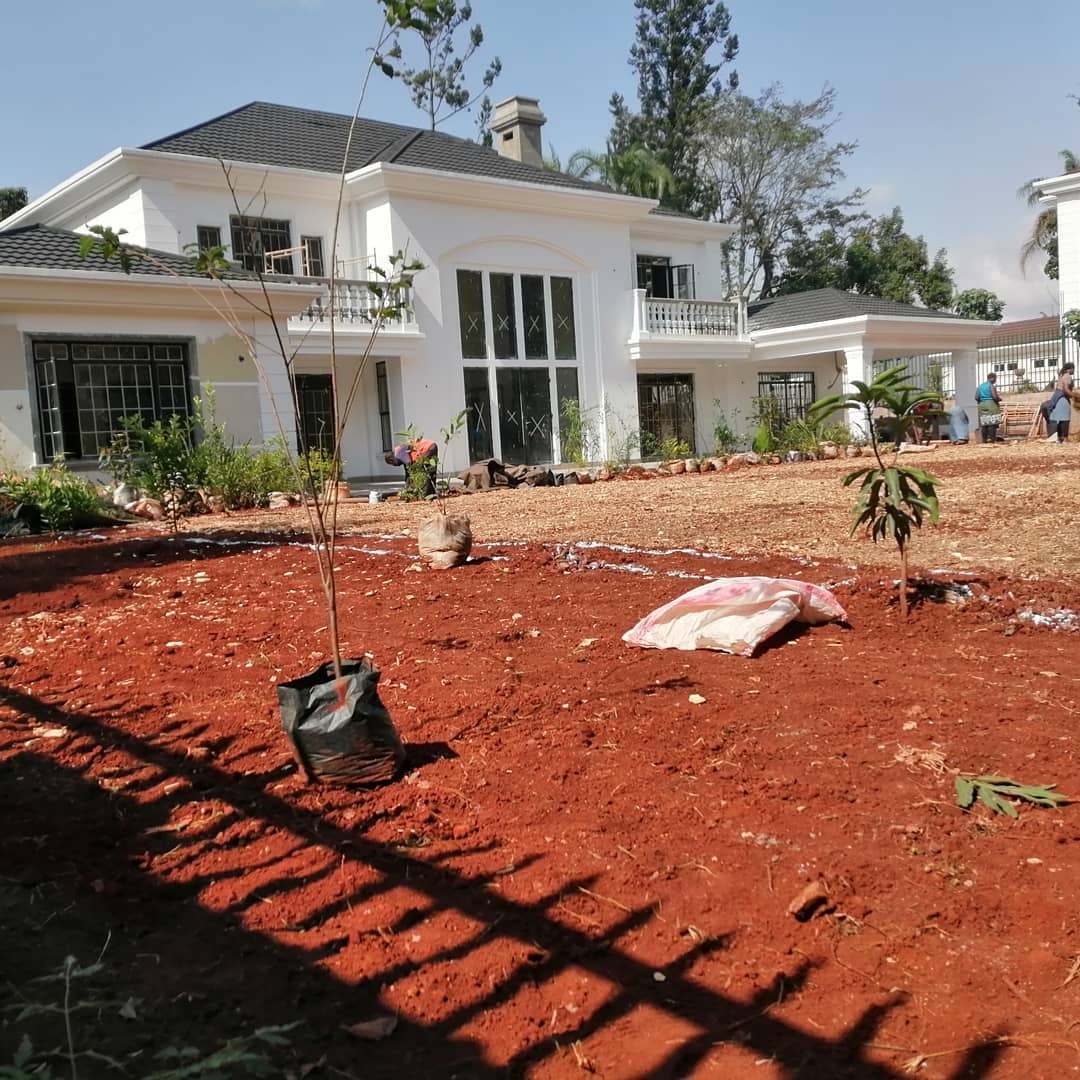 MV_crafts's tweet photo. Hapa kazi tu..
We are here for all your landscaping and gardening services.
Call us on 0726 595809
#ReleaseJuliusKamau
#UnclaimedBillionsKe Sondu Mandera
#PaysSiiToMpesa Sifuna Raila  Kenyans Ruto Azimio Expressway Dele Alli Thika https://t.co/P9cWCRgyrd