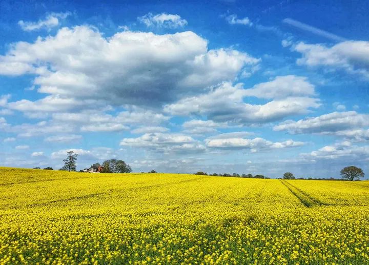 CambrianLine's tweet image. 🌅 🛤️ #SpectacularViews for #DaysOutByRail from @tfrwail conductor Lee Anthony Bell from inside the train on the #CambrianLine. Comment with your #scenicviews to showcase the beautiful #cambrianline. #scenicrailway #traintravel #trainjourney @scenicrailbrit