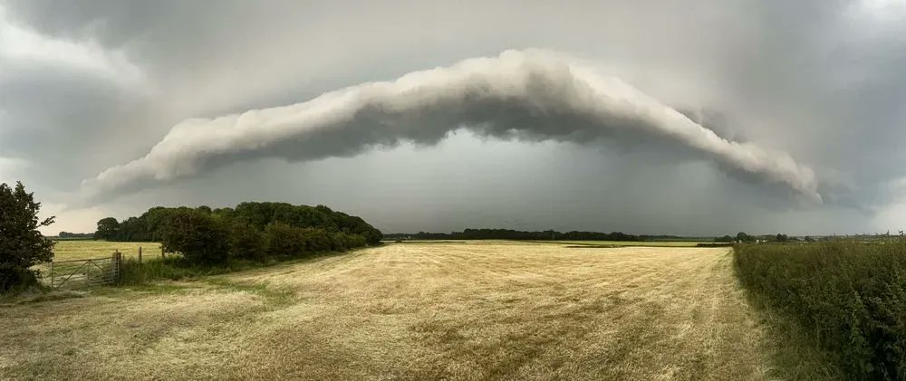 #StormHour tweet media