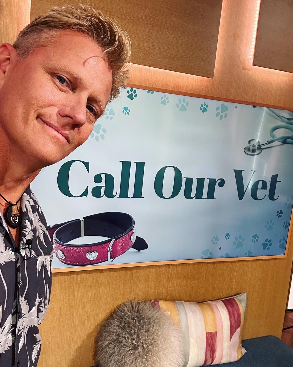 Off to @thismorning @itv to talk about the awful Corona virus epidemic affecting the beautiful cats of Cyprus. Then a phone in to help support the nations pets and pet owners. See you all from 10am x 🐱❤️👨‍⚕️ #cyprus #cat #cats #pethealth