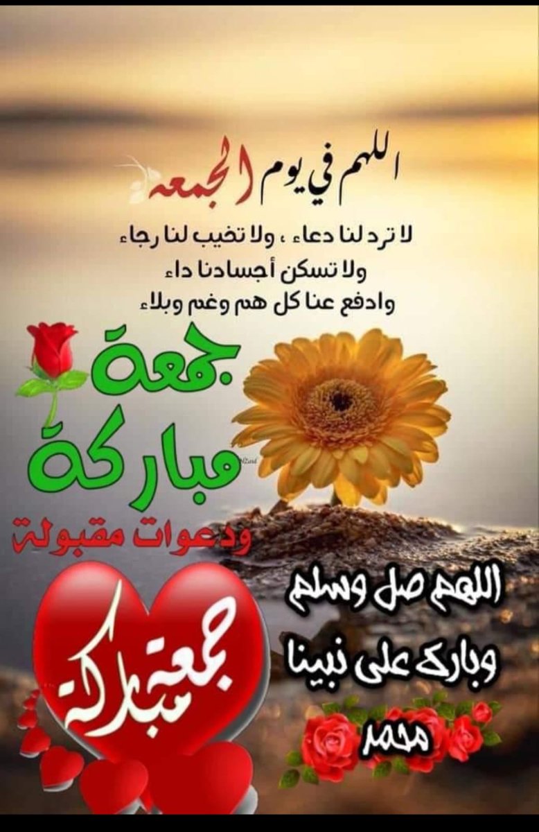 ‏جهہآد tweet media