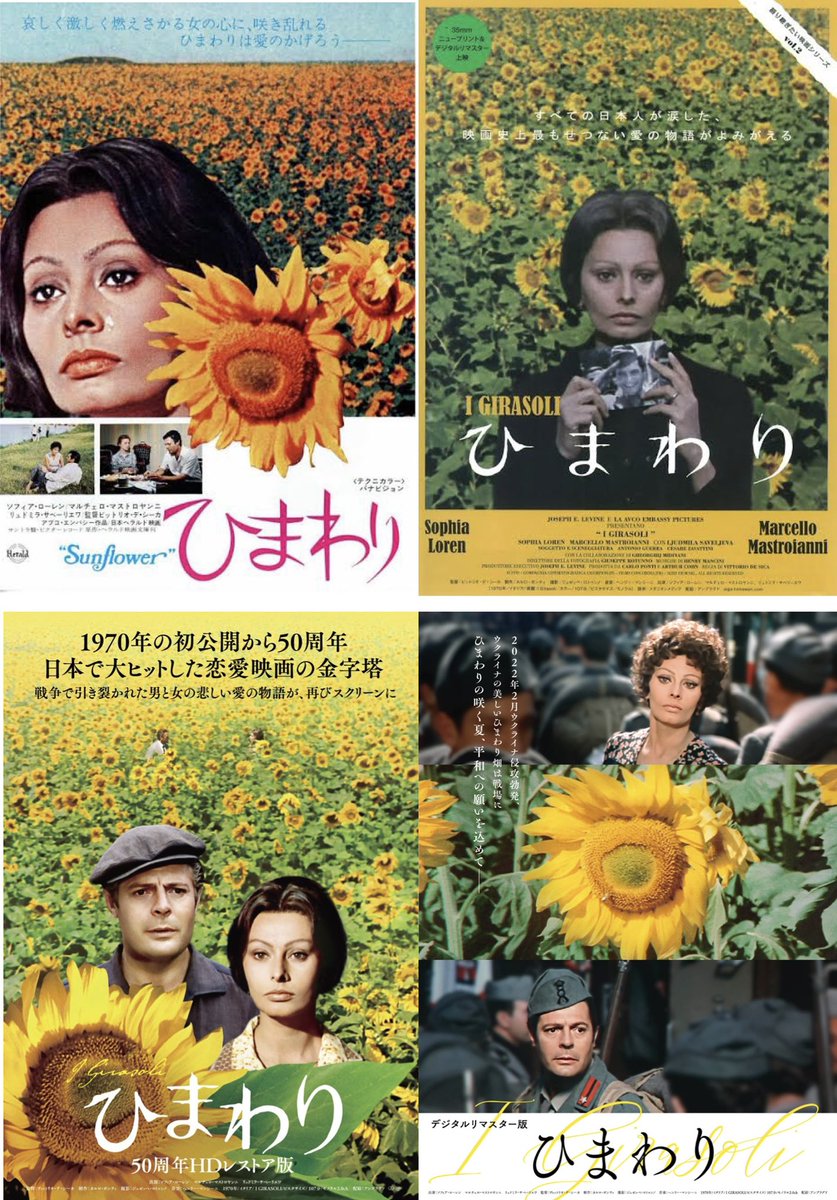 T*A様 映画チラシ「ひまわり」(京都版) 映画チラシ「ひまわり」(京都版) 映画『ひまわり 50周年HDレストア版
