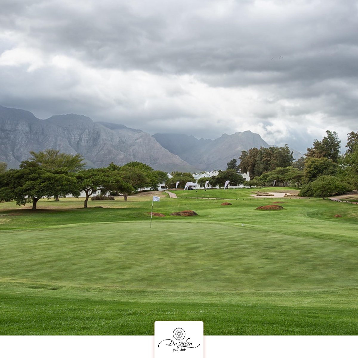 DeZalzeGolfClub's tweet photo. Don't let the cold weather deter you from experiencing the beauty and tranquility of #DeZalzeGolfClub.
De Zalze Golf Club offers a unique and picturesque golfing experience that should not be missed, even in cold weather.
#SurprisinglyDifferent #TakeAWalkInTheWinelands https://t.co/V0TLc7OgTc