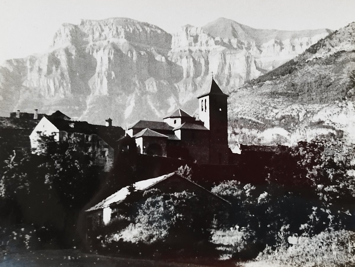 joan masferrer tweet media