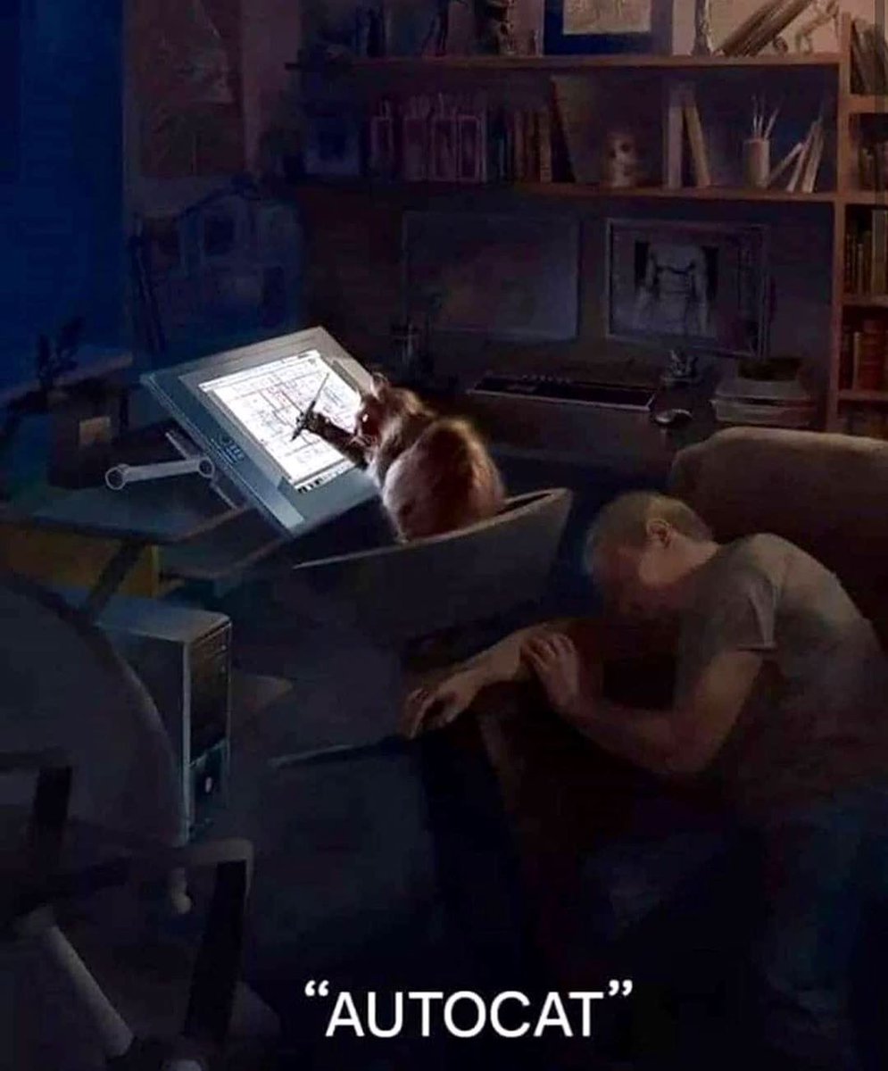 Comprendra qui pourra 👀

#autocad #cat #catmeme #architecture #architecturedrawing  #architect #home #house #designtwitter