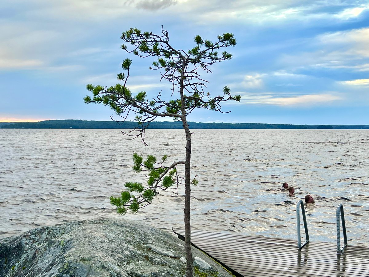 IPA-2023 tweet media