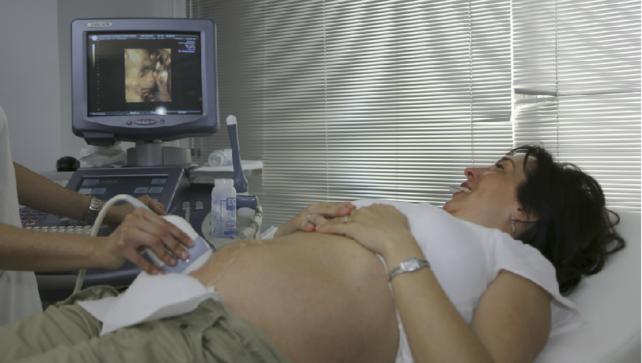 EXCLUSIVE
Dundee scientists create world-first 'micro placenta' (1/4)