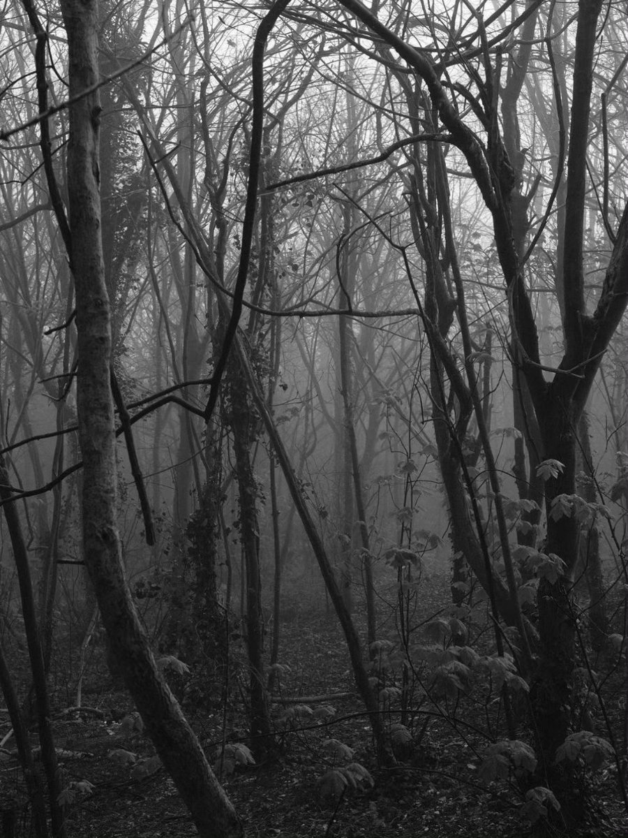 永远不要觉得别人的痛苦很廉价，每个人的心理防线不一样，可能你看来微不足道的事已经让他崩塌了。