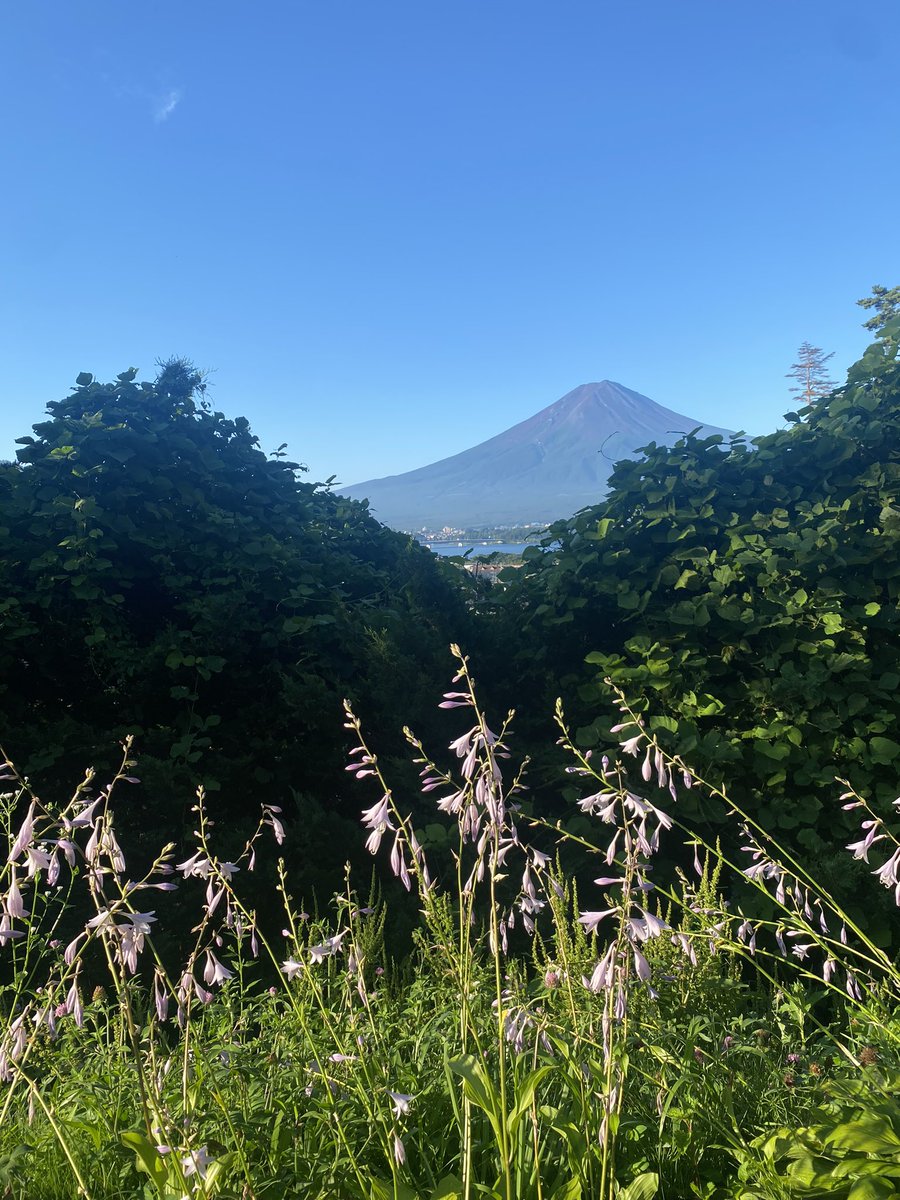富士山綺麗だった☺️✨

#河口湖　#SOLO
#BBQ