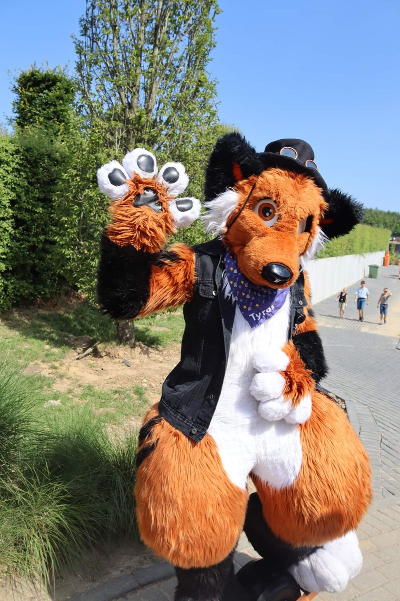 Tyrosthefox's tweet photo. El Mundo Fantasia was fantastic. This weekend i will be at #DutchFurCon. Happy #FursuitFriday
Picture by: Jèrèmy Laurencin https://t.co/3eEGD4s3uf