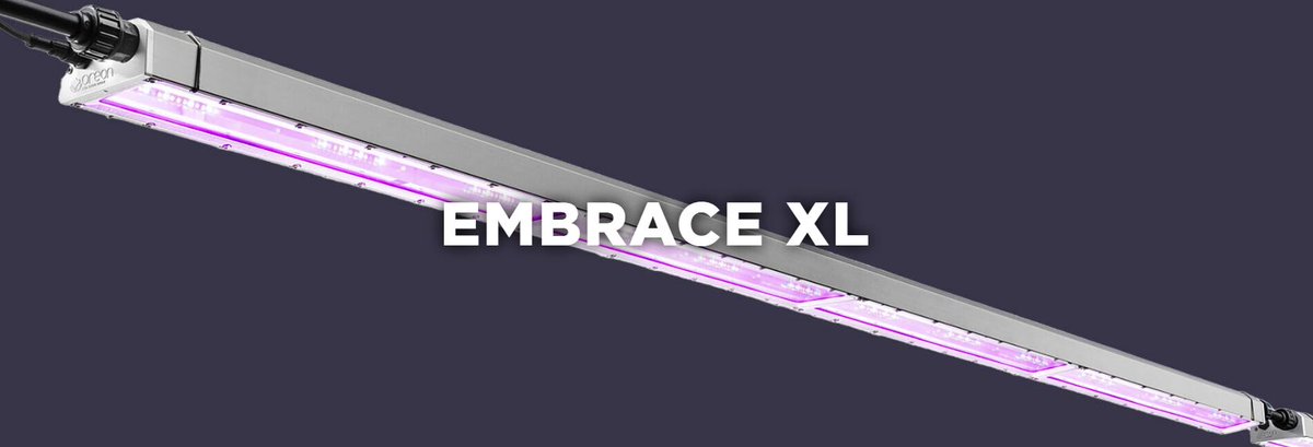 Last month we introduced our new multilayer fixture EMBRACE XL. 💚An extremely efficient, robust, and flexible fixture - all without direct heat radiation and with perfect light distribution. Read more: oreon-led.com/en/products/em…

#Oreon #LEDLIGHTGROW #verticalfarming #indoor
