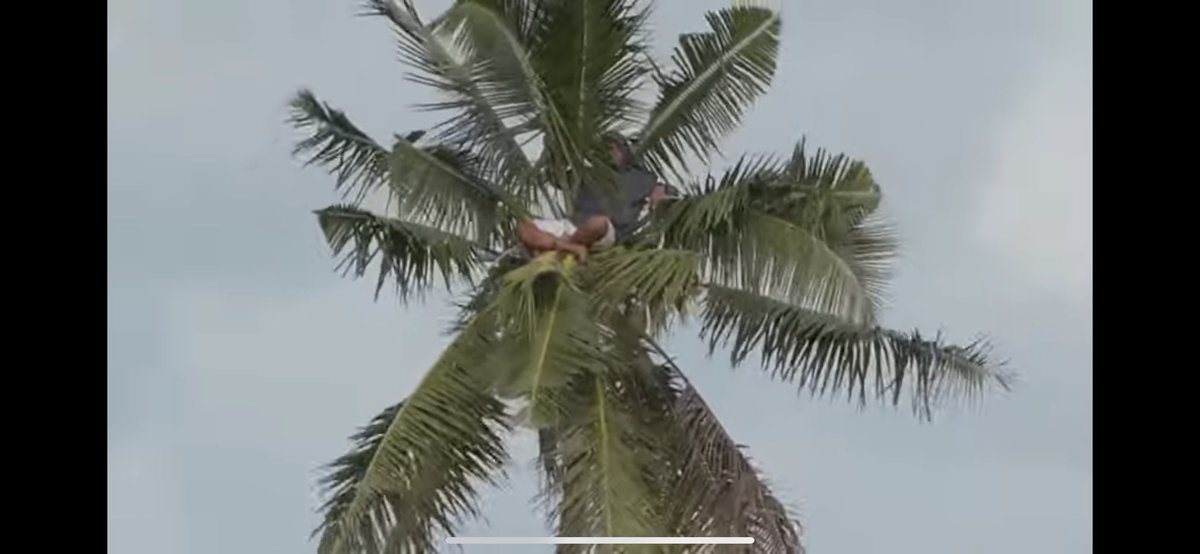 qldnick's tweet image. Highlight of Tonga v Aus A #Wallabies #ikaletahi #rugby