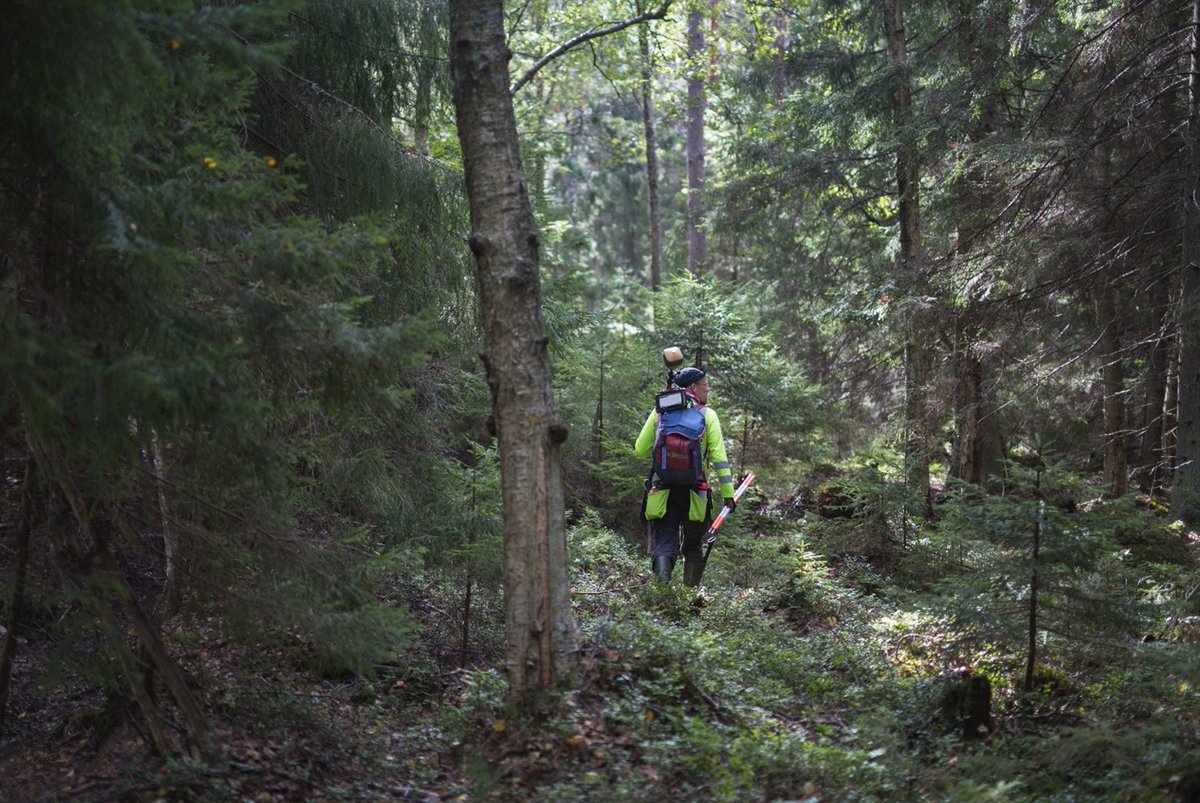 🛰️ Yhteiskuntaa palveleva tieto
🧑‍ Hyvinvoivat ihmiset
🌍 Kestävä ympäristö
🤝 Vastuullinen toimintatapa ja talous

Olemme luvanneet edistää 50 vastuullisuustekoa v. 2027 loppuun mennessä. Kurkkaa, mitä on tehty ja mitä menossa:
maanmittauslaitos.fi/vastuullisuus

#vastuullisuus