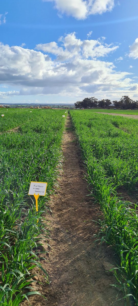 Alexandra Taylor tweet media