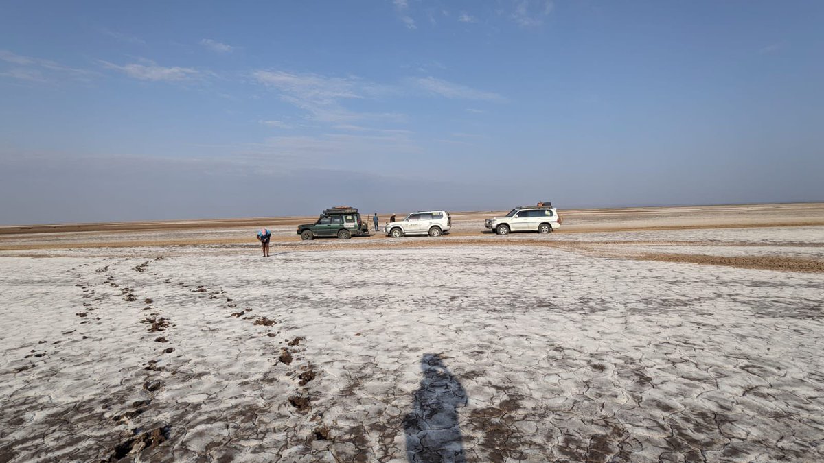 BunduRovers's tweet photo. So what are your plans for today….. we just here soaking in some
Rays in the Chalbi Desert! Should we drop you a pin? We are only 889km from Nairobi. #Pointandgo #Bundurovers #BRC https://t.co/J0qmGftjE4