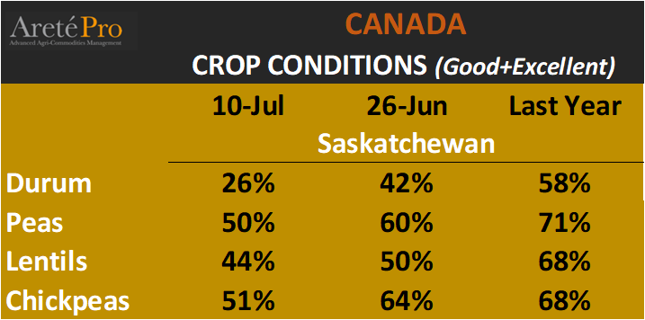 mkt_intl's tweet photo. 🇨🇦 CAN #pulses #durum
Crop Report @SKGov:
Dry conditions 🏜️are impacting parts of the #Saskatchewan and many producers are hoping for 🌧️rain immediately. https://t.co/Q7pxe7AezY