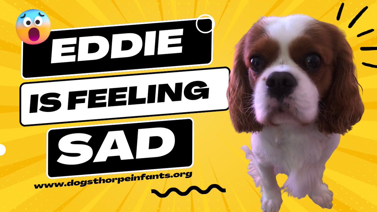 Eddie feels sad today! youtu.be/9qPO7MLt57o