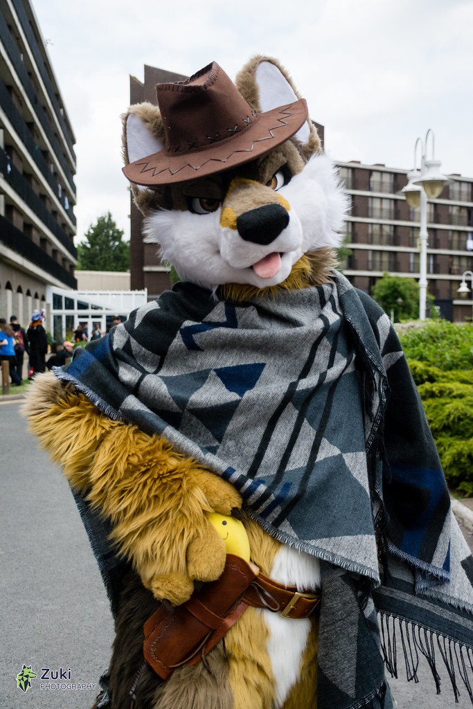 Ride into the sunset with me? 🥺
#FursuitFriday 

📷 @SudoWolf 
📍 #CFz2023