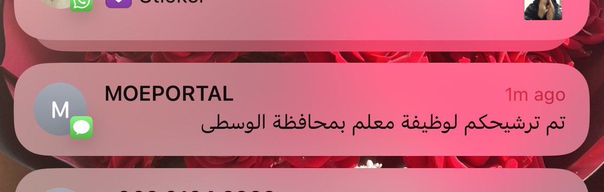 Sheikha8_97's tweet photo. ❤️ https://t.co/NacdAmiuMO