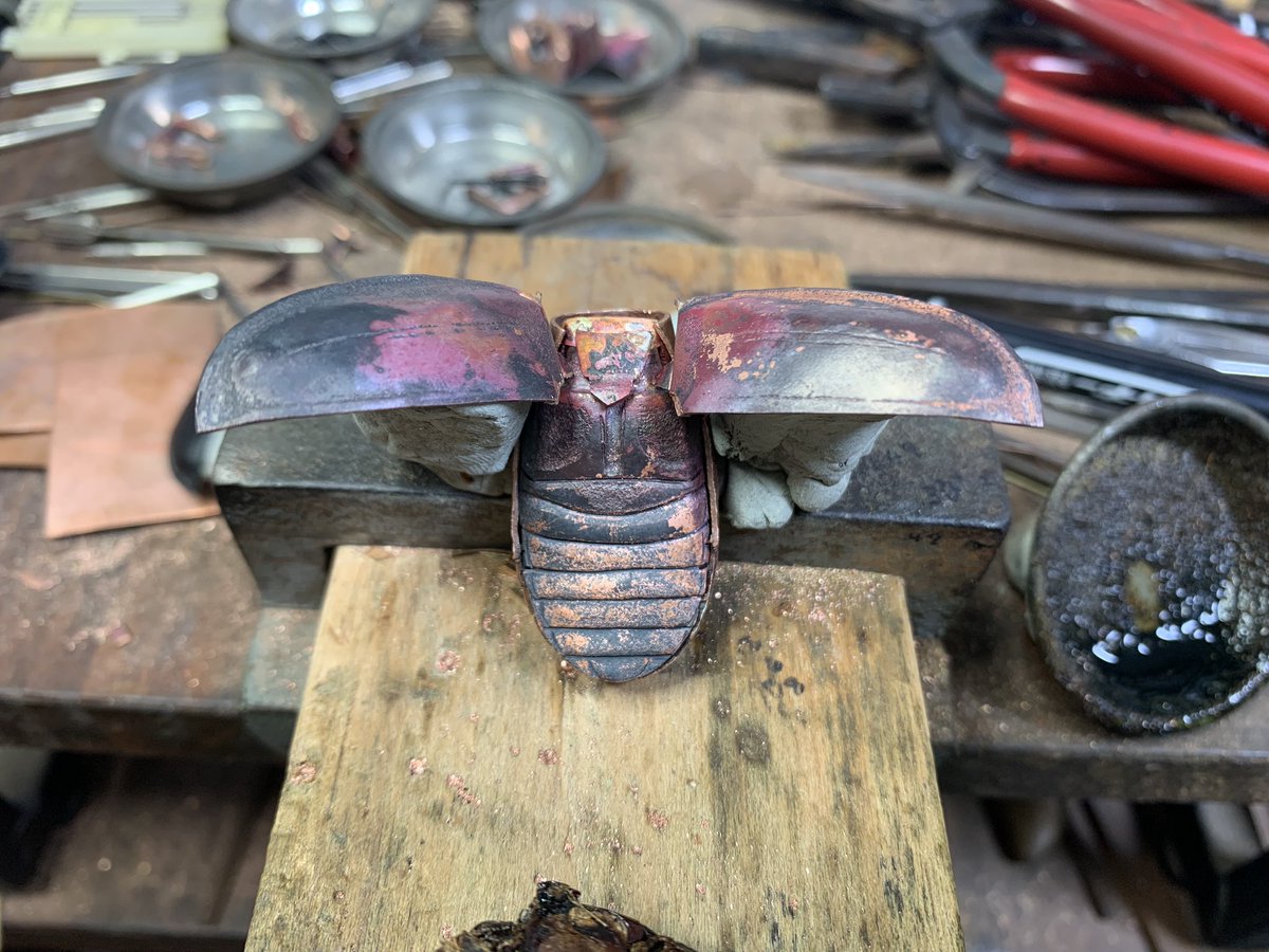 満田晴穂 tweet media