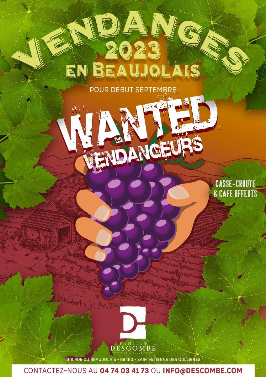 domainedescombe's tweet photo. Etudiants, saisonniers, retraités,... nous vous attendons début septembre pour participer à nos vendanges 2023 en Beaujolais 👩‍🌾👨‍🌾✂️🍇

Merci par avance pour vos nombreux likes et partages !

#vendanges #beaujolais #Saisonnier #emploi #emploiagricole #job #harvest https://t.co/cpUWSvFIbI