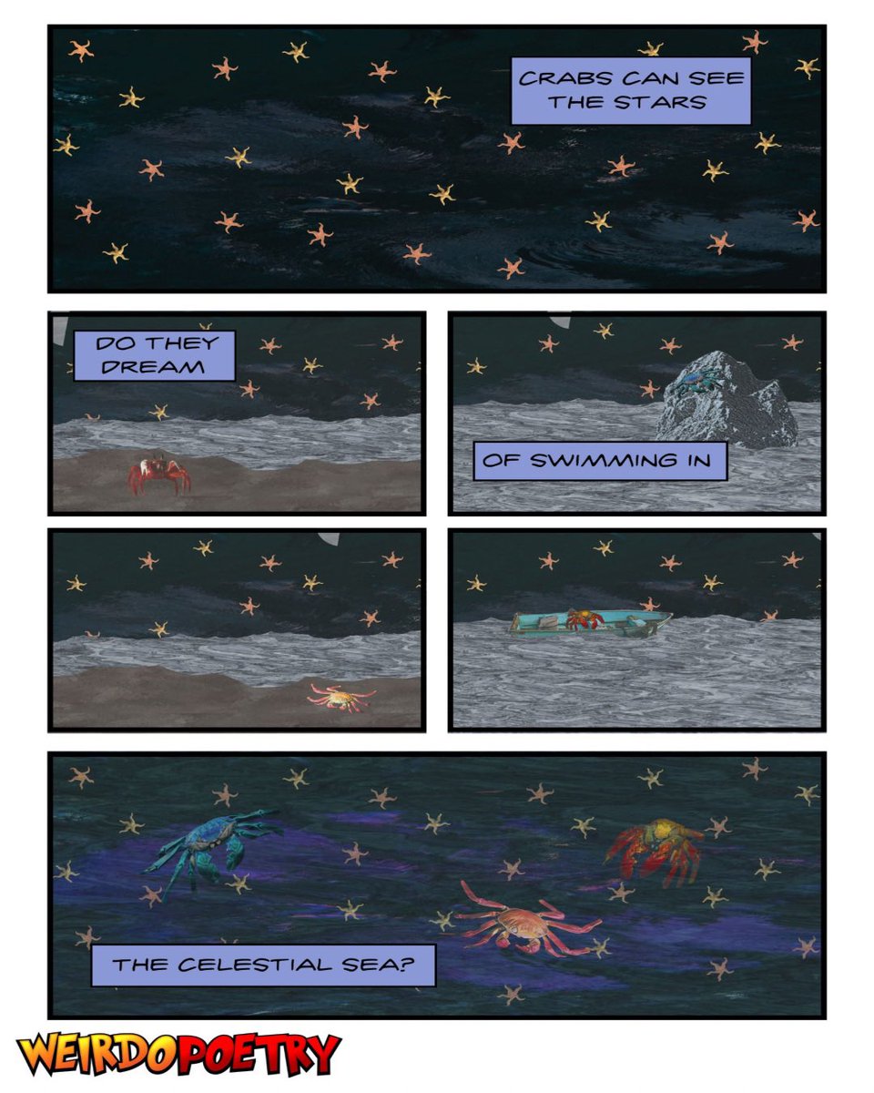 JasonCMcBride's tweet photo. @DailyHaiku575 crabs can see the stars
do they dream of swimming in
the celestial sea? https://t.co/5BOoWB3Uld