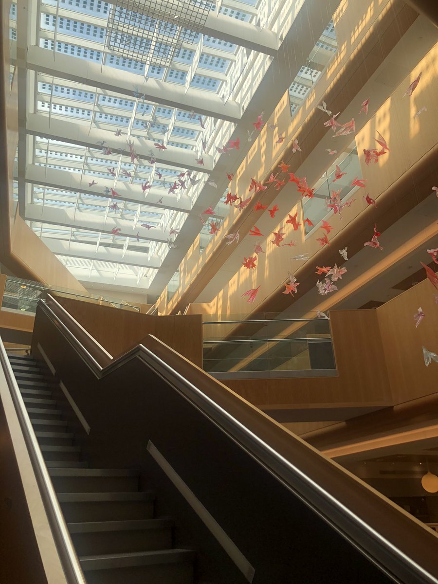 Our year in Oxford is already over! I have had a fantastic time with <a href="/BRyanLab2/">BrentRyanLab</a> and <a href="/WadeMartinsLab/">Wade-Martins Lab</a>. Thanks so much for hosting me!
<a href="/KavliOxford/">Kavli Institute for Nanoscience Discovery, Oxford</a> is an inspirational place to do science 🧫

Thanks <a href="/lundbeckfonden/">Lundbeckfonden</a> for making it possible

Now looking forward to being back <a href="/bmbSDU/">Department of Biochemistry and Molecular Biology</a>