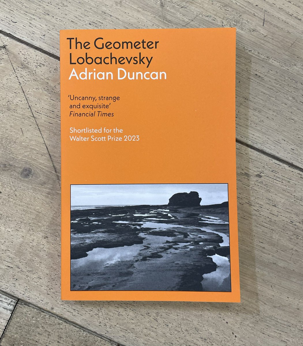 The lovely paperback of The Geometer Lobachevsky