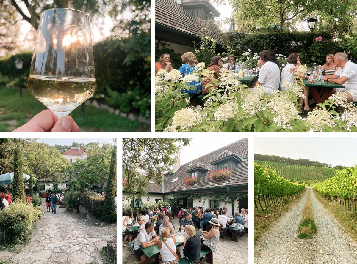 Our Welcome Party at Fuhrgassel-Huber heuriger was a delightful way to welcome you all to Vienna and celebrate our 35th Anniversary of EdMedia! We hope you enjoyed the sights and savored the wine. We heard many clinks and good conversations through the evening. #edmedia23