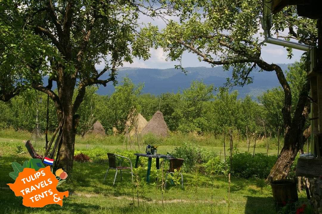 Travel_2Romania's tweet image. #Dutchies in Romanian tourism
In #Maramureș,people live in a simple but satisfying way,proud of their traditions&amp;amp;their way of life Maramureș is also a place with lots of nature,where bears&amp;amp;wolves still roam the forests.
In Maramureș,you will feel like you took a step back in time