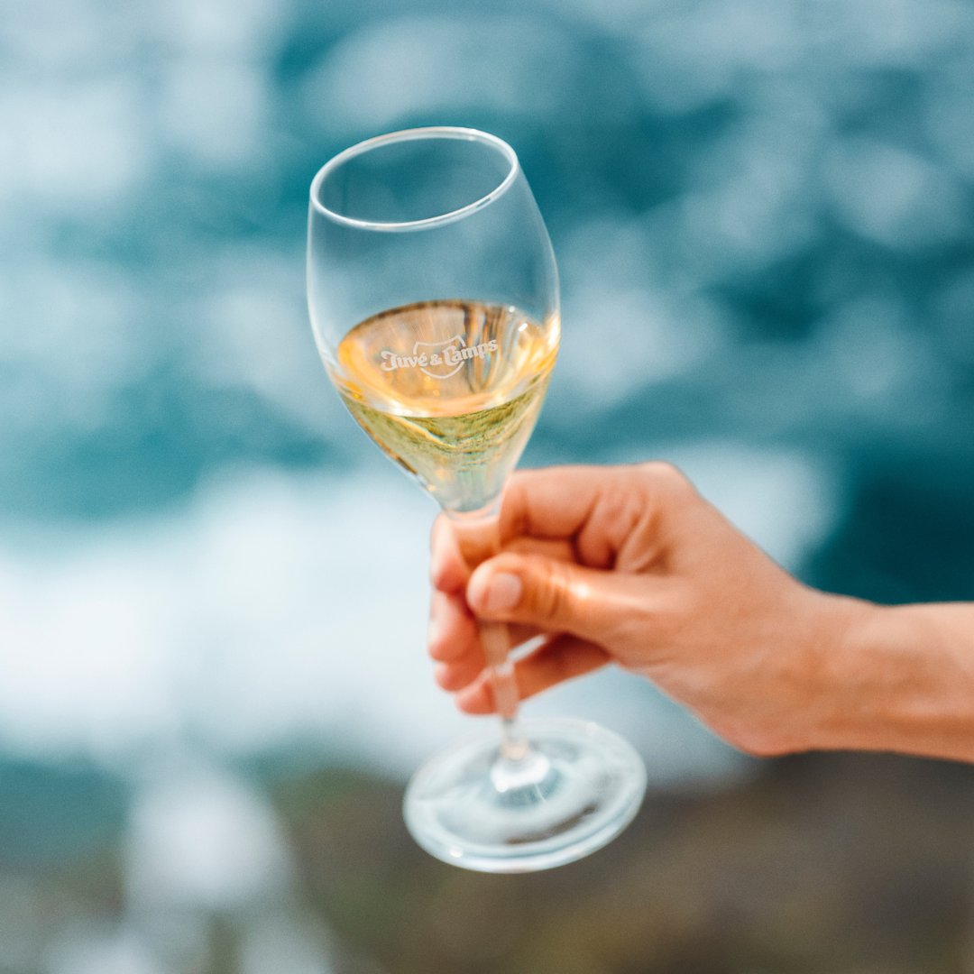 juveycamps's tweet photo. 🍾¡Feliz Día Internacional del Cava!

🐚Unas vistas privilegiadas, buena compañía y nuestro J&amp;C Reserva de la Familia para armonizar el momento.

Cómpralo online en https://t.co/5SvKcHkhND
·
#juveycamps #juvéstories #cava #reservadelafamilia #reservafamilia https://t.co/Pywc7uaHWs