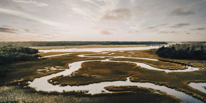 Hendry Publishing tweet media