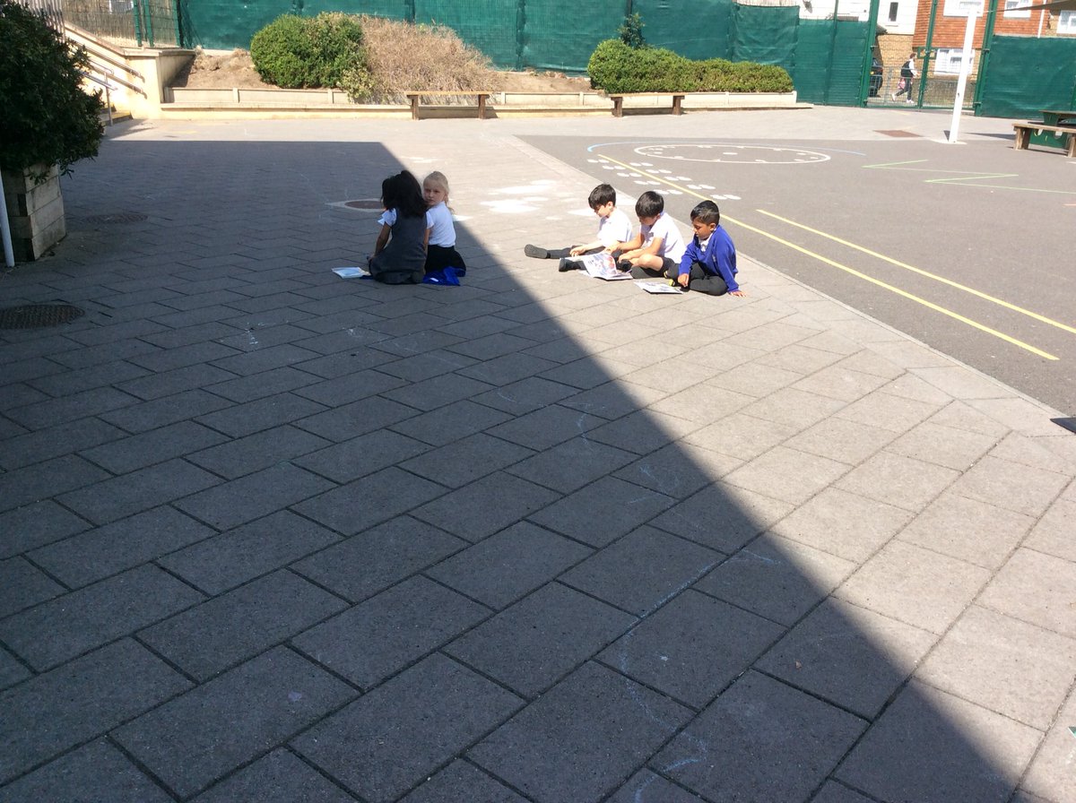 Foxfield Year 1 Hazel tweet media