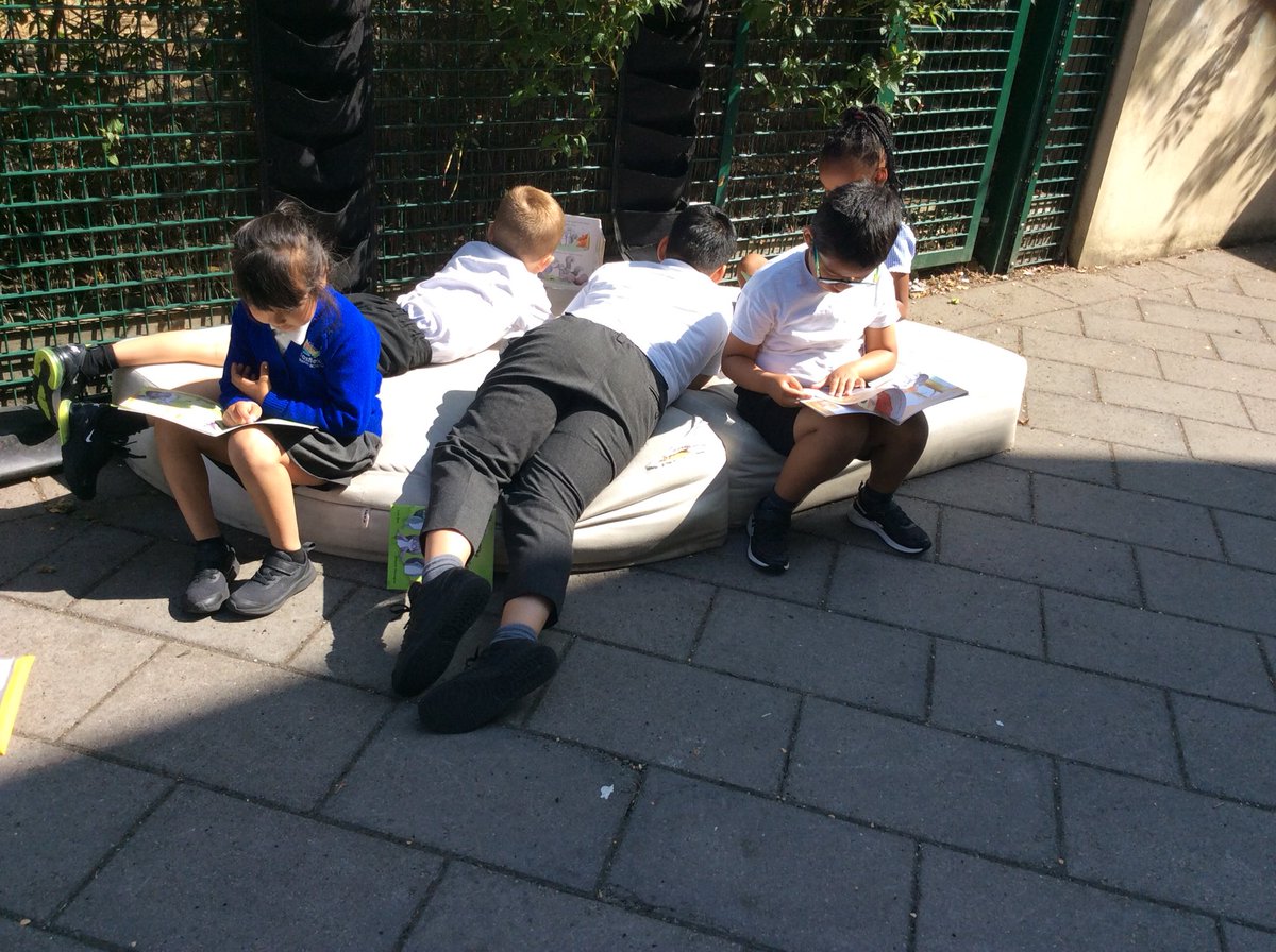 Foxfield Year 1 Hazel tweet media