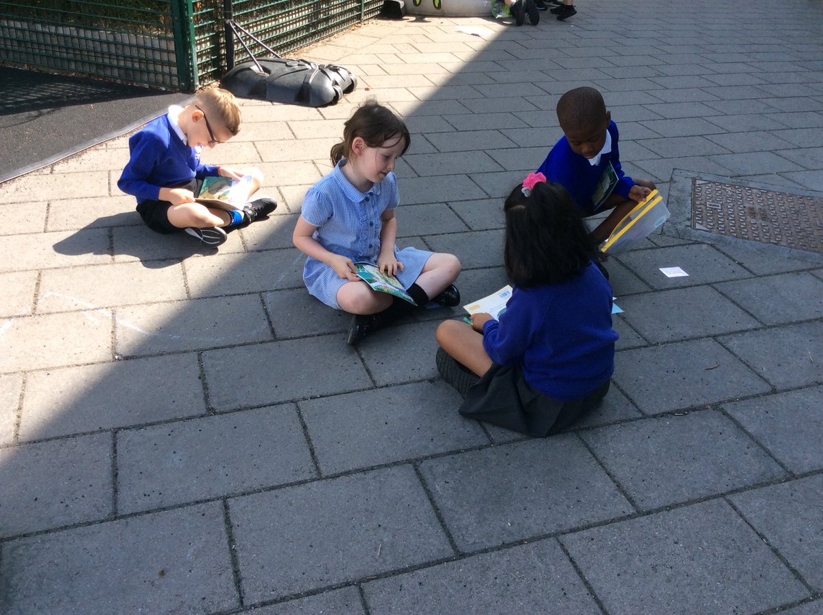 Foxfield Year 1 Hazel tweet media