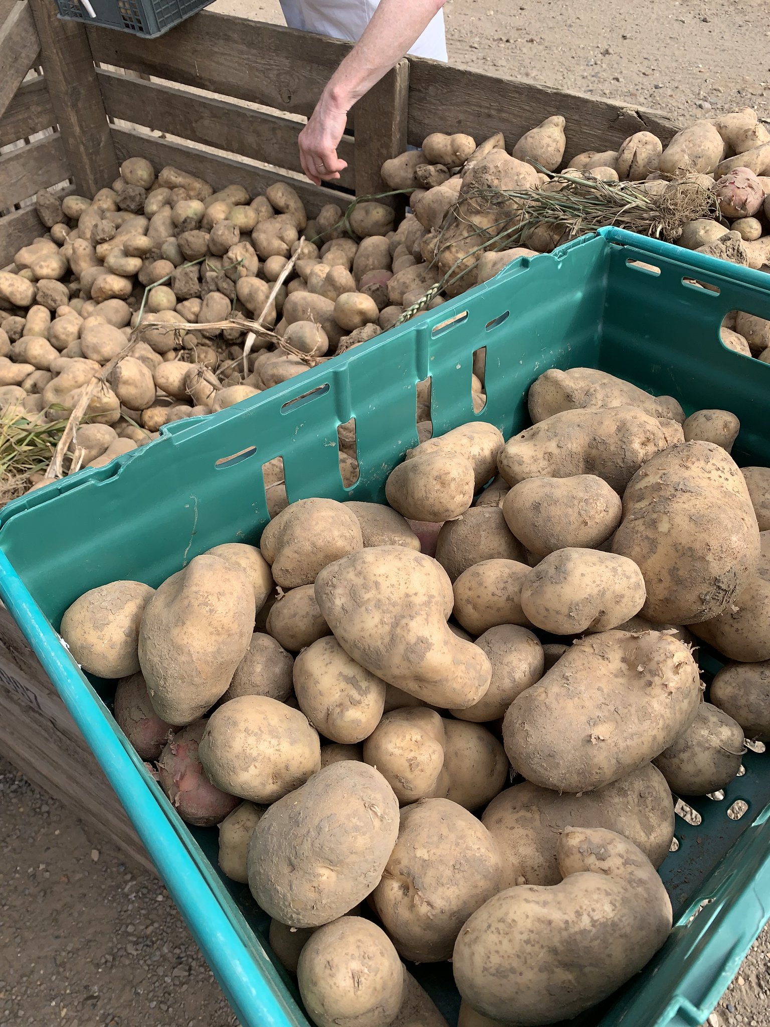 Oli FranklinWallis on Twitter "Let’s talk about food waste. About 33