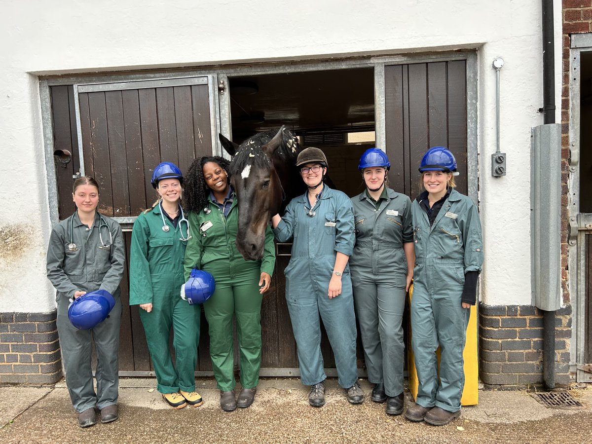 Today we have 6  final year vet students from @LivUni Leahurst campus on the yard along side Helen one of our equine vets. #StandTall #PHOwen #VetStudents #LeahurstVets #YouCouldOfBrushedYourHairOwen