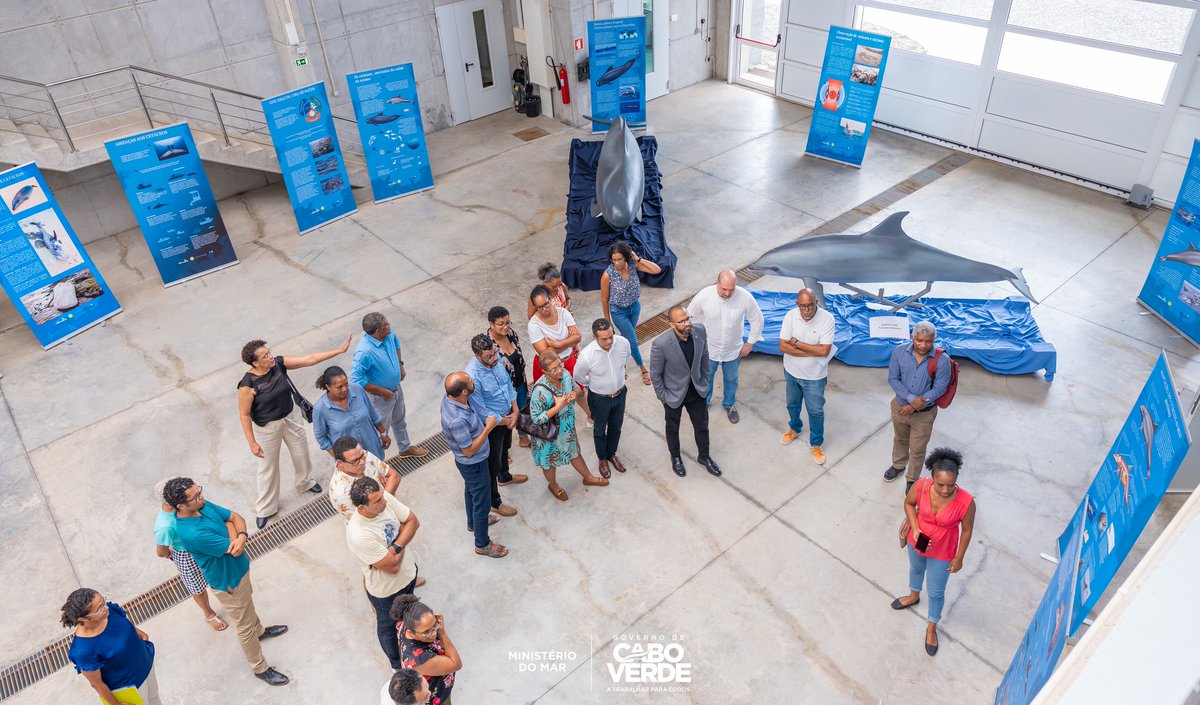 MARCET II tweet media