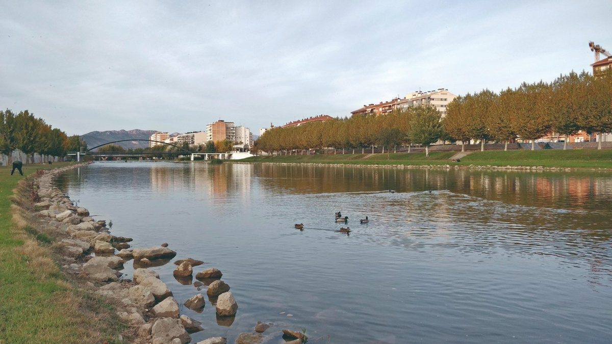 Viles Florides tweet media