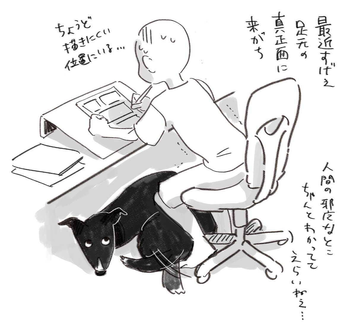 いぬはかしこい…