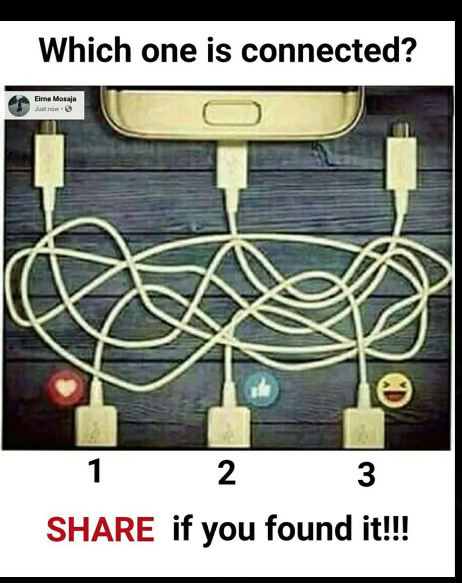 NO CONTEXT HUMANS (@humansnocontext) on Twitter photo 