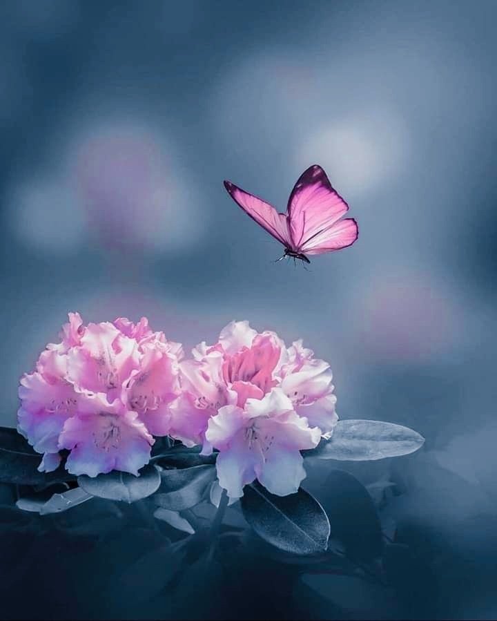 Eugyn3's tweet photo. Señor, un día más para darte gracias
Bendice a mi familia y amigos
Permíteme encontrar motivos para
estar feliz
Aumentar mi fe, alcanzar mis metas
Ilumina nuestros corazones
Permíteme ser mejor persona
Concédenos un día lleno de alegrías
salud y éxitos 🤲
Sonríe☺️
#FelizMiercoles https://t.co/jLNO7V5pSr