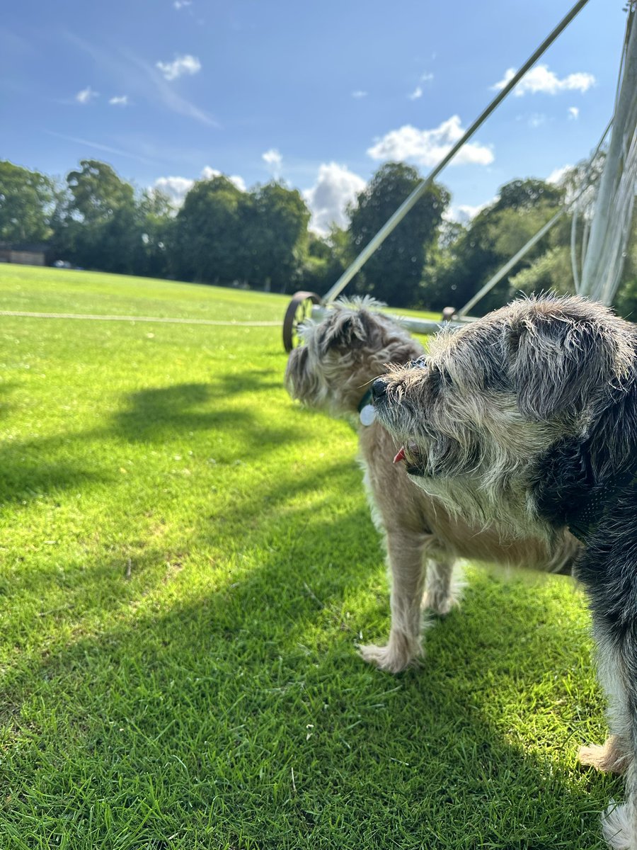 Lord Duncan Pickles tweet media