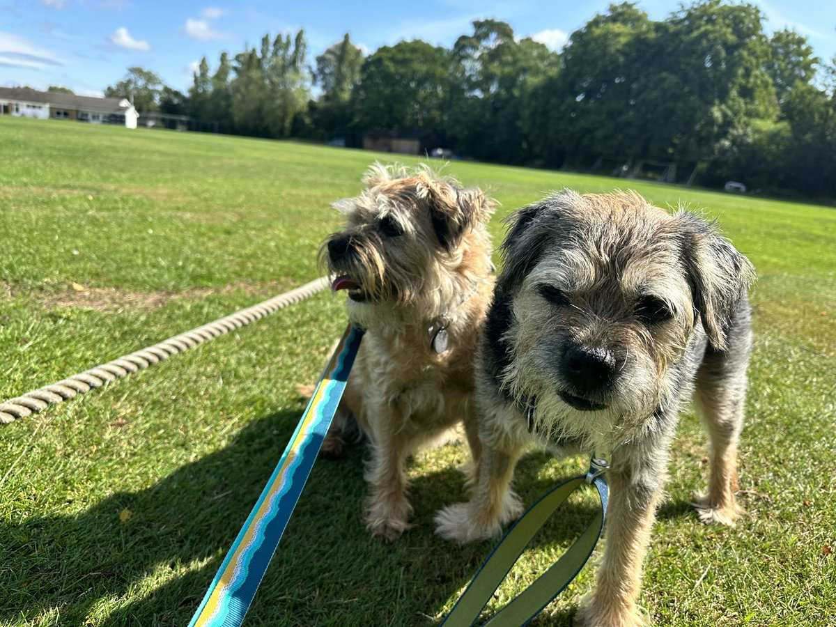 Lord Duncan Pickles tweet media