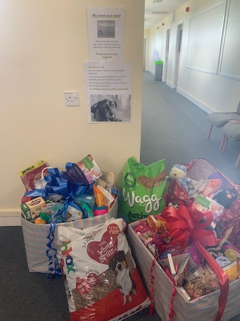 NCC Reablement (@nreablement) on Twitter photo This morning we dropped by with our donations for Newcastle Dog and Cat Shelter. Thanks to everyone who has donated. <a href="/NewcastleCC/">Newcastle City Council</a>
🐶🐾🦮🐕🦺🐈🐈⬛😻 This morning we dropped by with our donations for Newcastle Dog and Cat Shelter. Thanks to everyone who has donated. <a href="/NewcastleCC/">Newcastle City Council</a>
🐶🐾🦮🐕🦺🐈🐈⬛😻