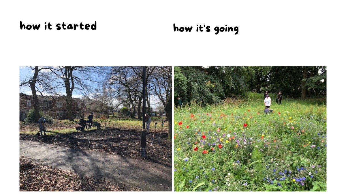 The Sale West Wildflower meadow is in full bloom thanks to a great team of volunteers and funding from the @gmenvfund . The project 'Bugs &amp; Beats' aims to engage with a diverse set of gardeners, using music to stimulate workers on the site <a href="/MayorofGM/">Mayor of Greater Manchester</a>, <a href="/GMGreenCity/">GM Green City</a> #GMGreenCity