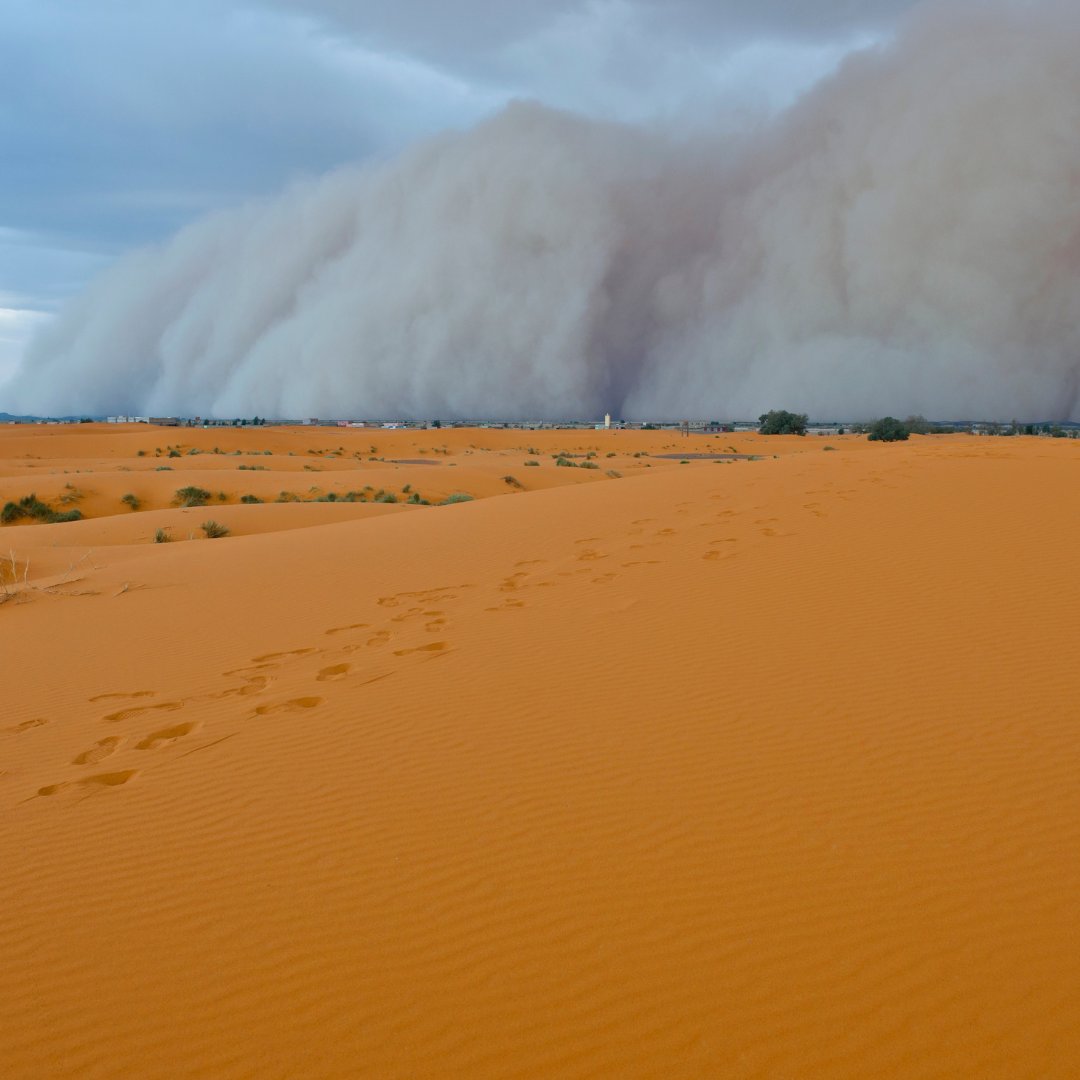 UNFCCC's tweet photo. Today is International Day of Combatting Sand &amp; #DustStorms.

These storms have severe health impacts and are intensified by #climatechange.

They occur in the desert, but can travel 1000s of kms and have adverse impacts in many regions of the 🌍

Climate change affects us all! https://t.co/XWoBHogq1r