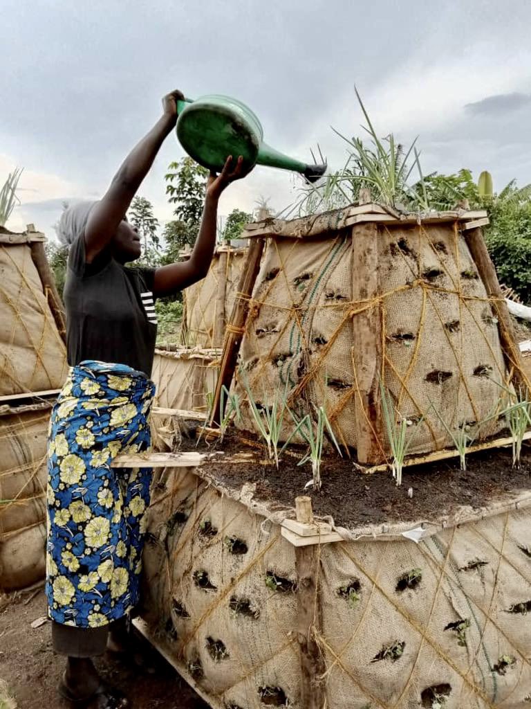 DwB_Africa's tweet photo. Together with Vertical Micro Gardening Uganda, Response Innovation Lab and Save the Children, we set out to design a new vertical garden model to provide food security and improve nutritional outcomes for refugee communities in Uganda. https://t.co/jaMvWsNDe2