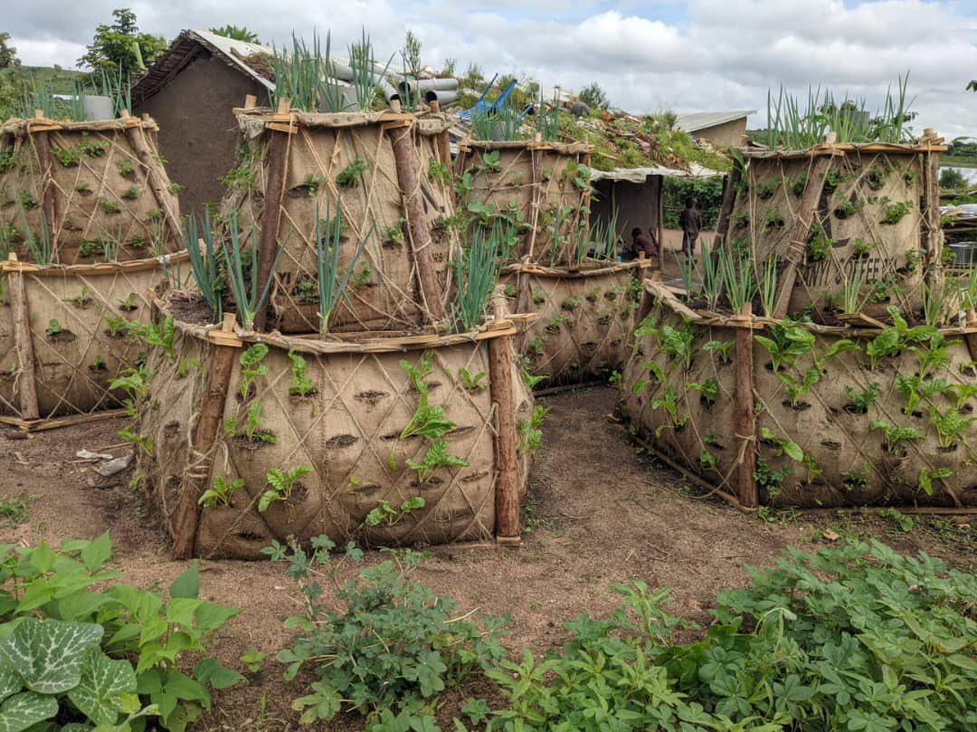 DwB_Africa's tweet photo. Together with Vertical Micro Gardening Uganda, Response Innovation Lab and Save the Children, we set out to design a new vertical garden model to provide food security and improve nutritional outcomes for refugee communities in Uganda. https://t.co/jaMvWsNDe2