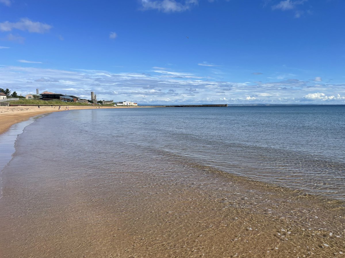pacteaug's tweet photo. Last St Andrews beach walk with Baxter and @BrownliePacteau before the big move to France. What a morning! #fife #scotland #eastneuk #standrews #eastsands https://t.co/BKet7VWOWI